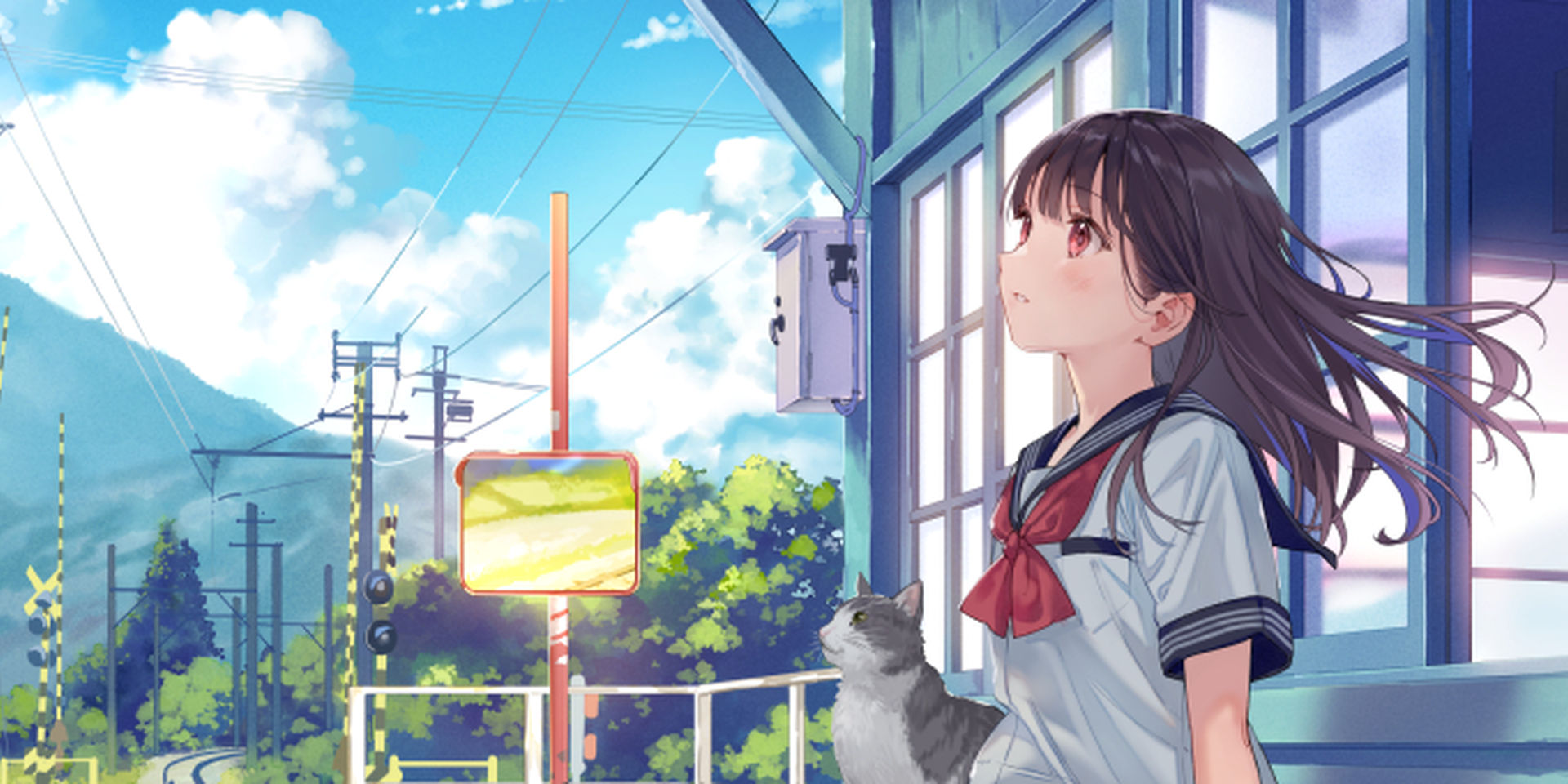 フカヒレ