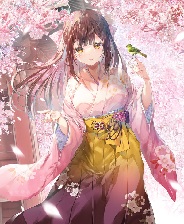 memory of cherry blossoms