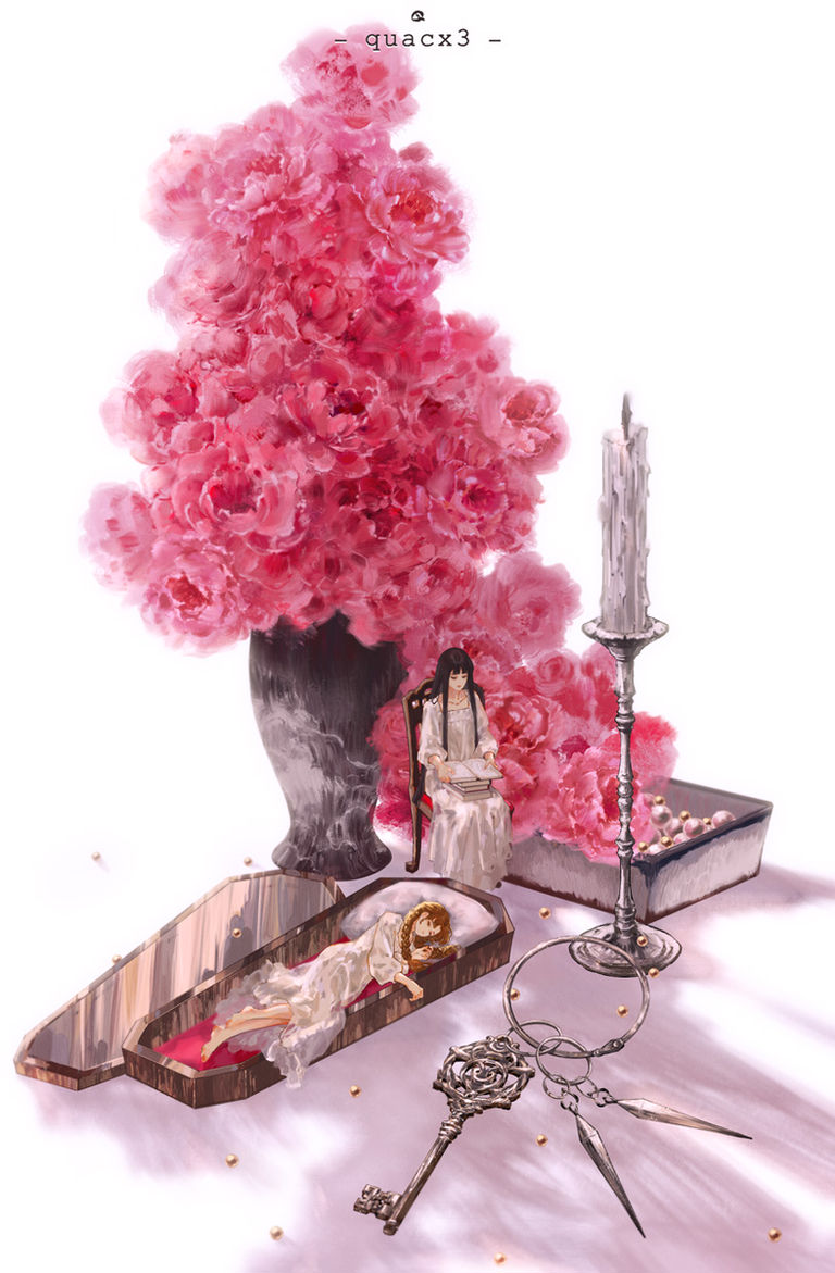 粉红花卉插画特集