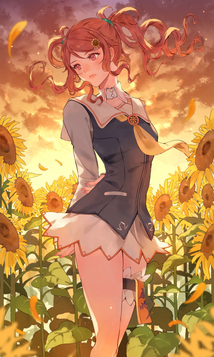 夏日绽放的向日葵插画特辑