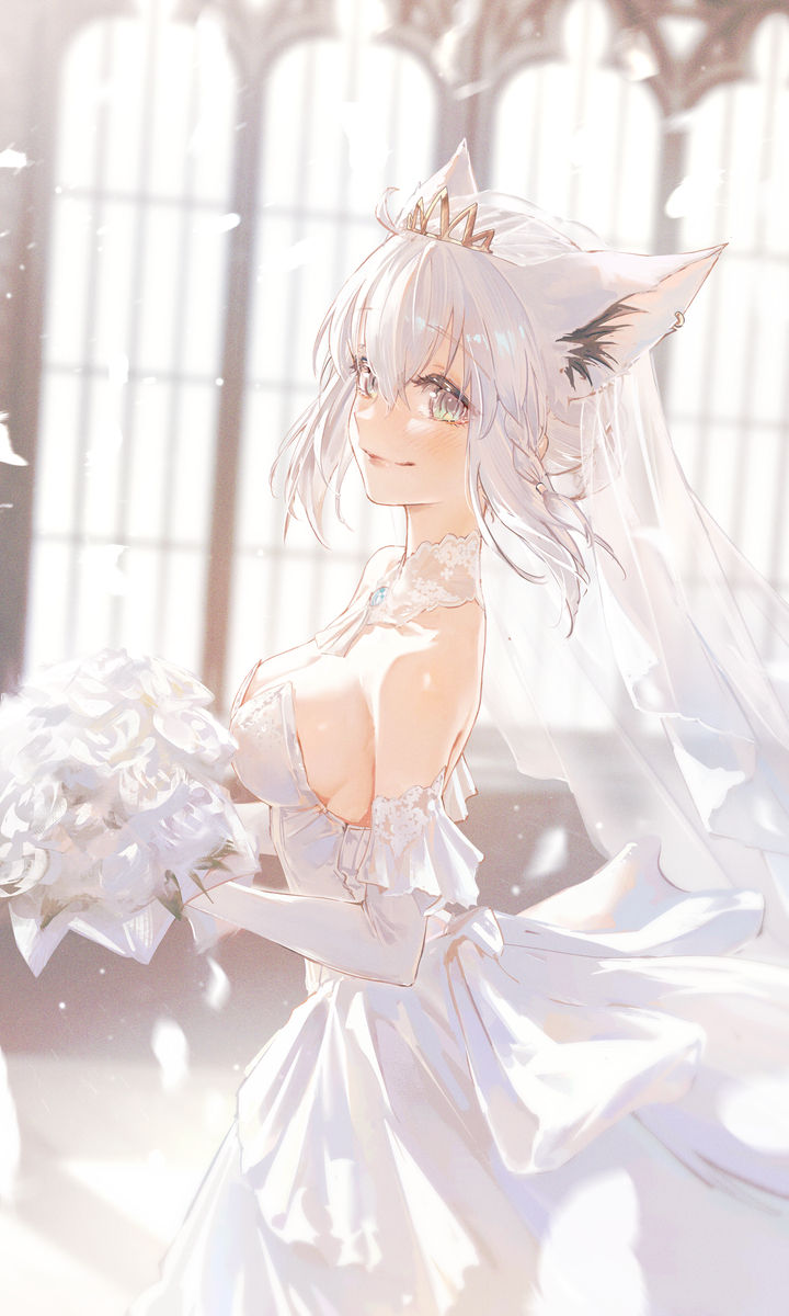 婚纱插画特辑