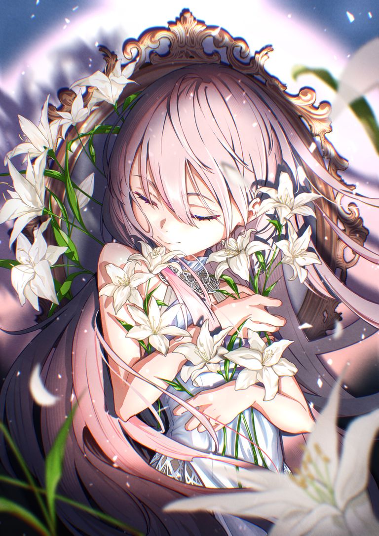 百合花插画特辑