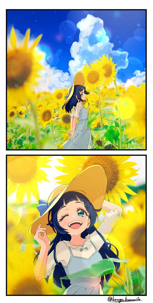 夏日绽放的向日葵插画特辑