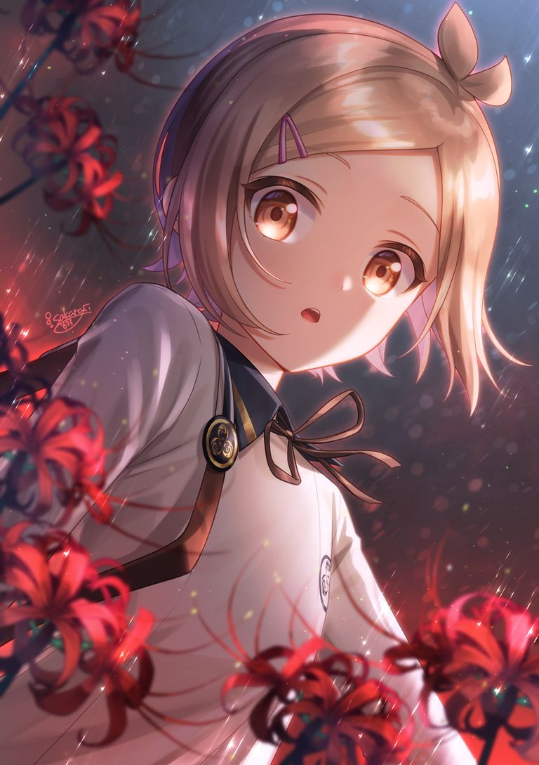 彼岸花插画特辑