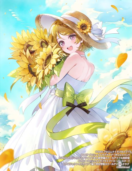 夏日绽放的向日葵插画特辑
