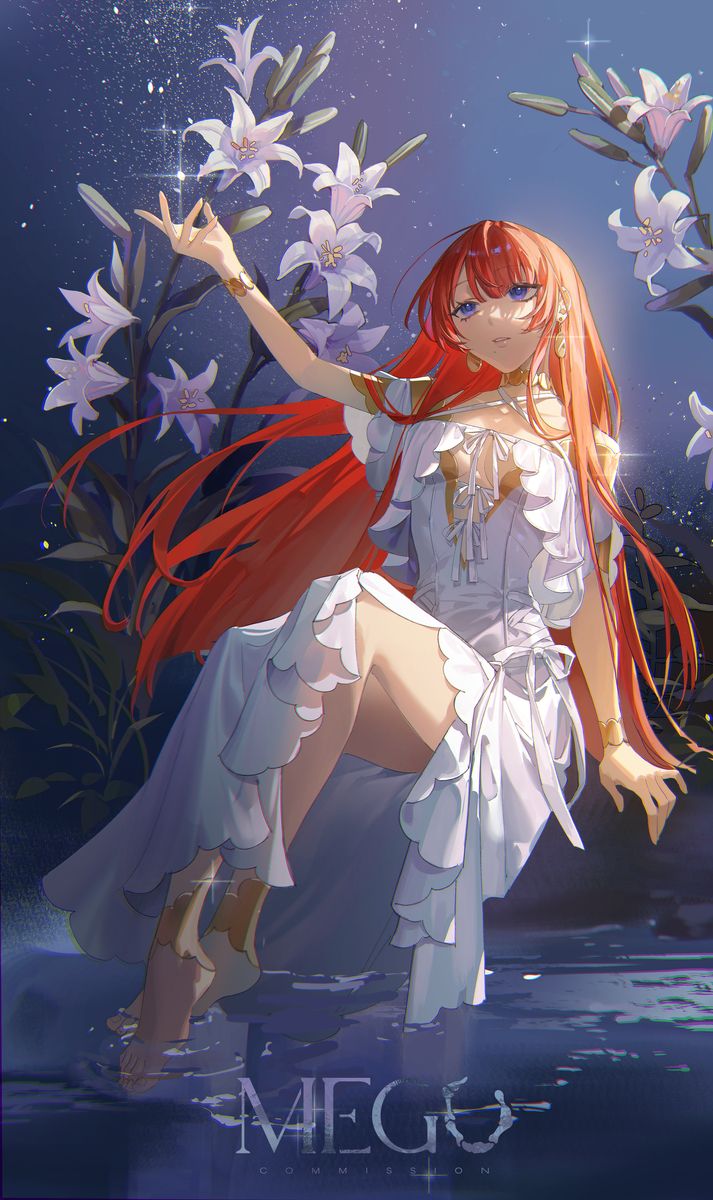 百合花插画特辑