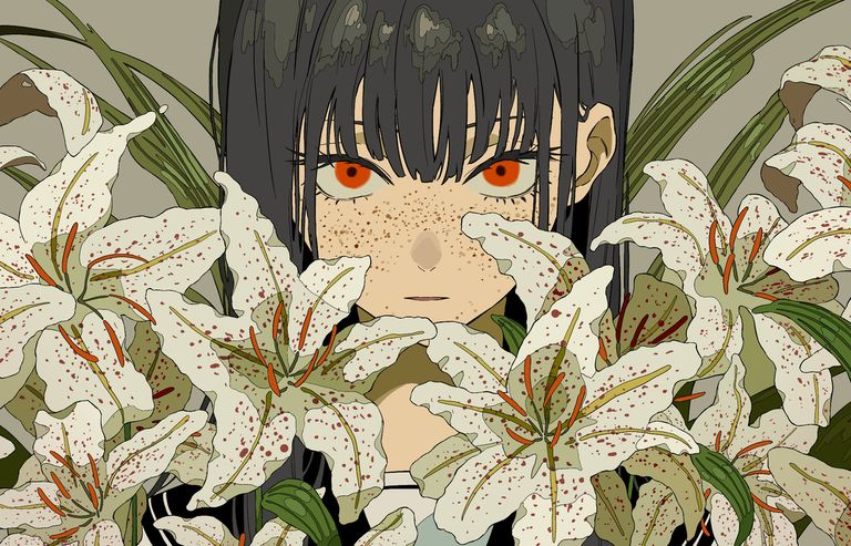 百合花插画特辑