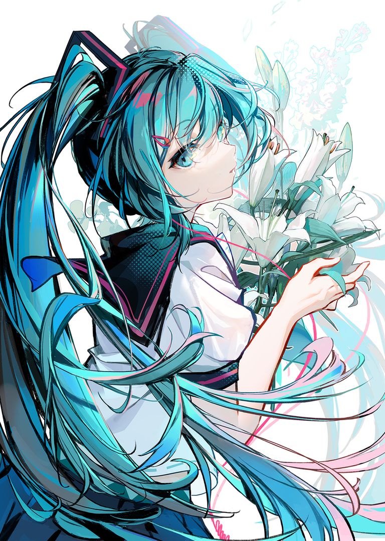百合花插画特辑