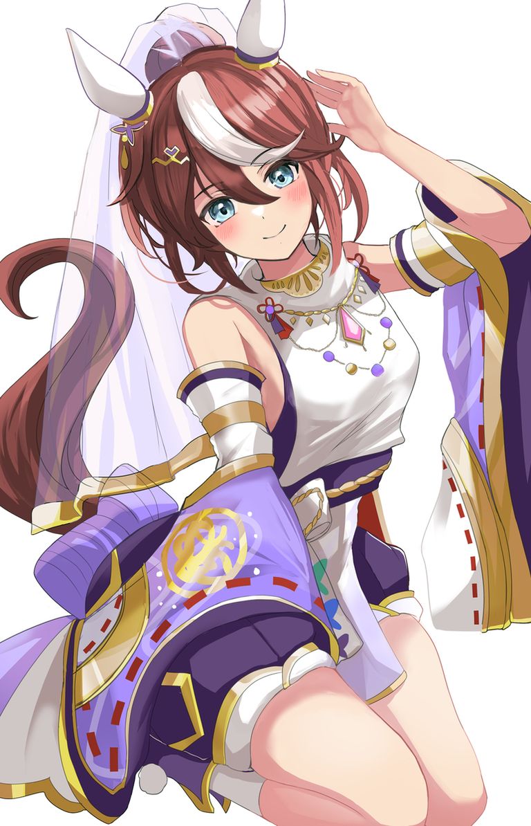 【赛马娘】东海帝王同人作品特辑
