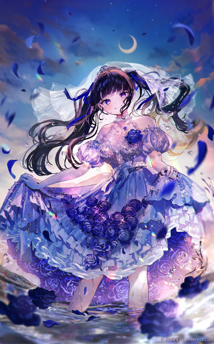 头纱插画特辑