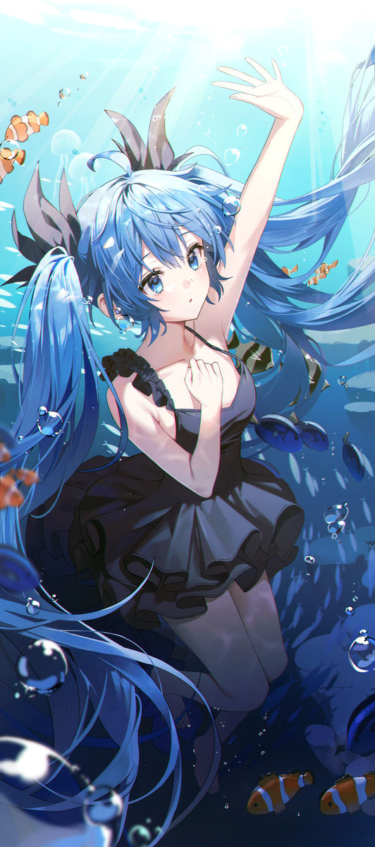鱼插画特辑