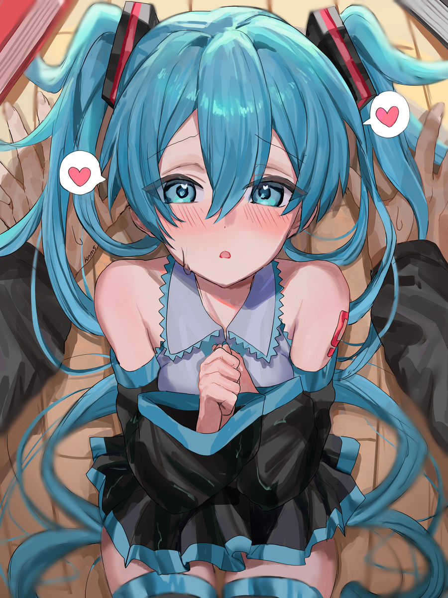 「ミク大丈夫！？…ミク？」