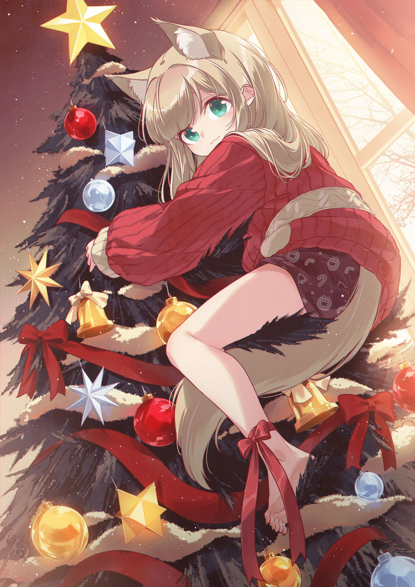 クリスマスツリーに登るきなこ🎄🐈