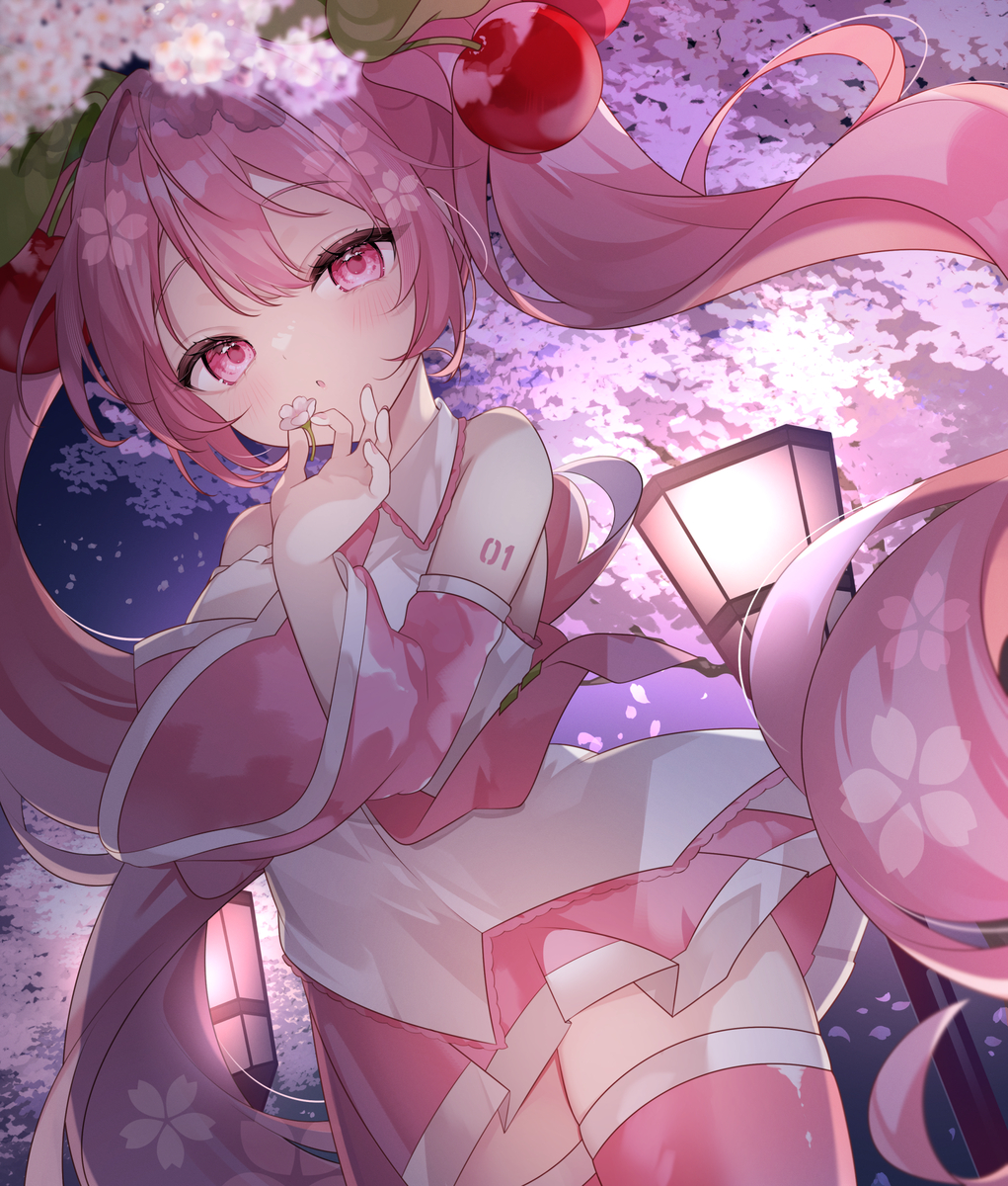 夜桜の中で