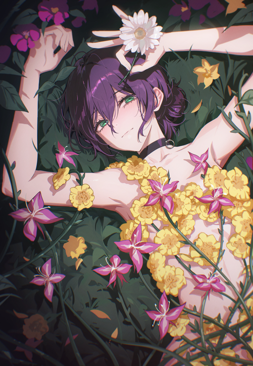 IRIS OUT