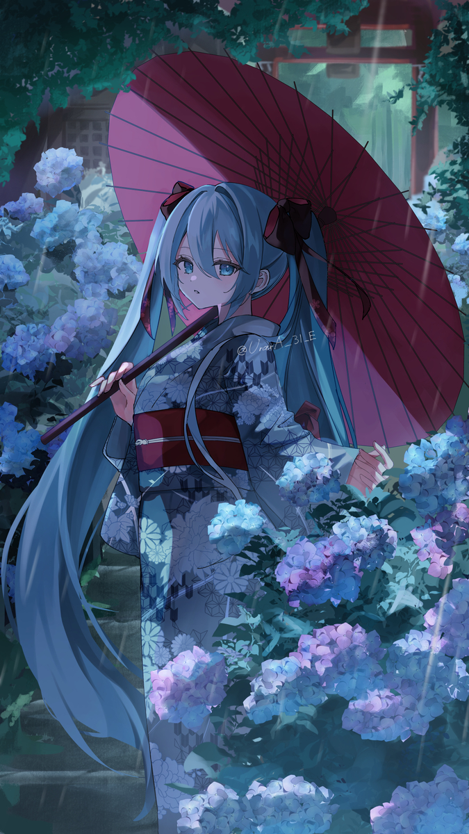 雨露と紫陽花