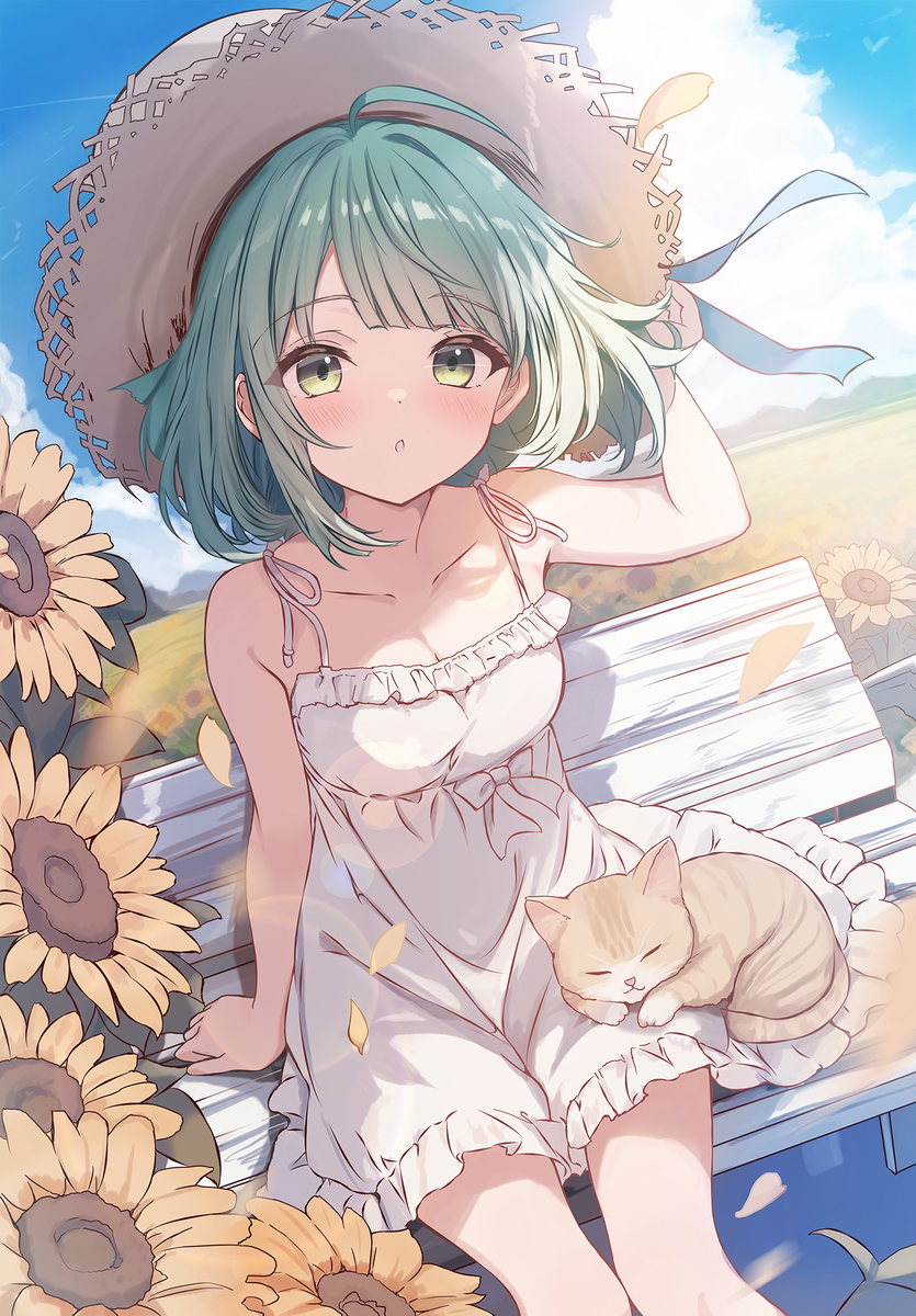 夏・ひまわり・麦わら帽子・猫
