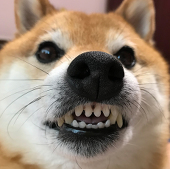 pottsness