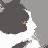 縞